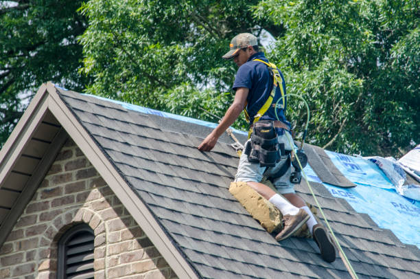 Best Storm Damage Roof Repair  in Springville, VA